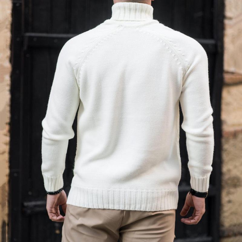 Mens Casual Solid Color Turtleneck Slim Knit Pullover Sweater 10753050M