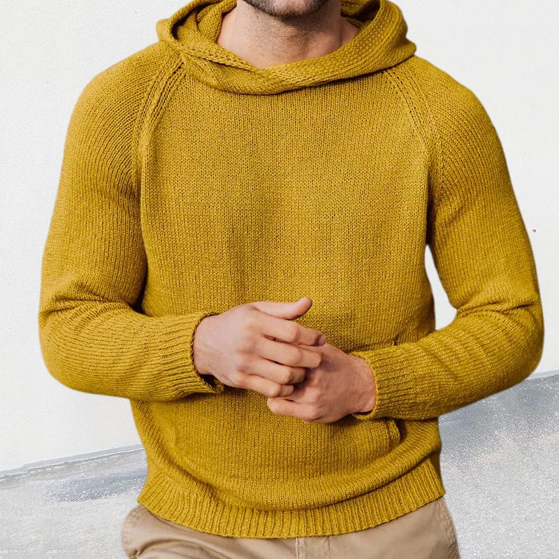 Mens Casual Solid Color Long Sleeve Hooded Knit Sweater 53760000M