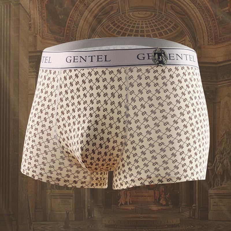 Mens Underwear 4 Pcs Geometric Print  Boxer Briefs Set 75916671Z