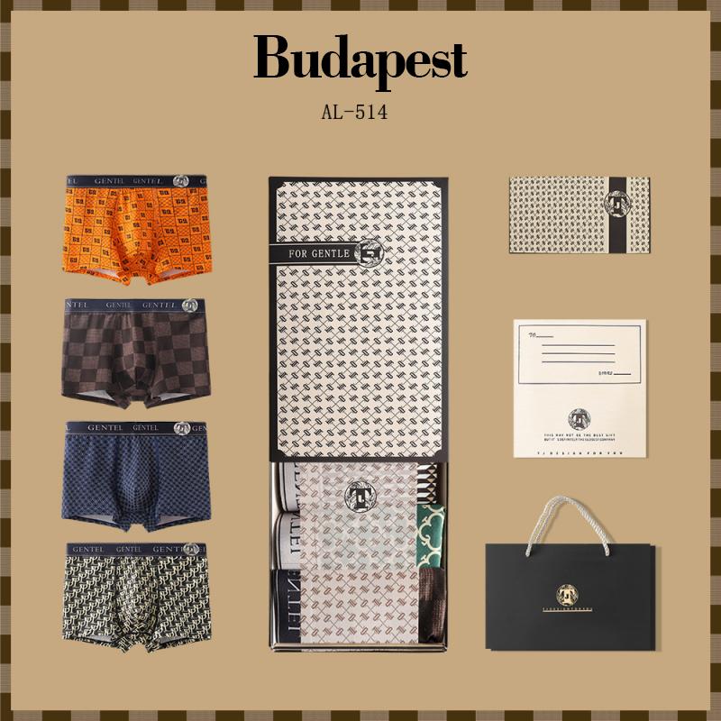 Mens Underwear 4 Pcs Geometric Print  Boxer Briefs Set 75916671Z