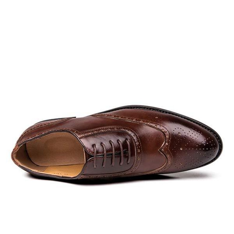 MENS BROGUE CARVED LEATHER SHOES 62932875
