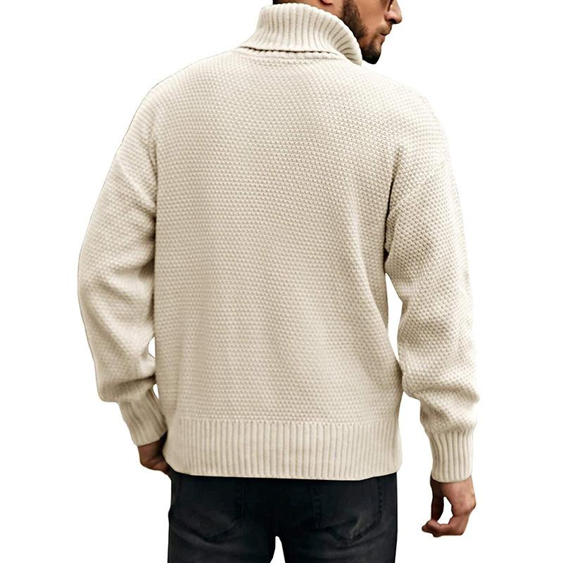 Mens Turtleneck Long Sleeve Pullover Knit Sweater 04672420M