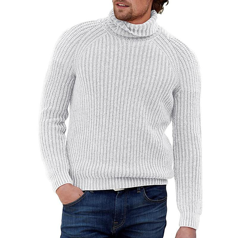Mens Solid Color Long Sleeve Turtleneck Sweater 26644030X