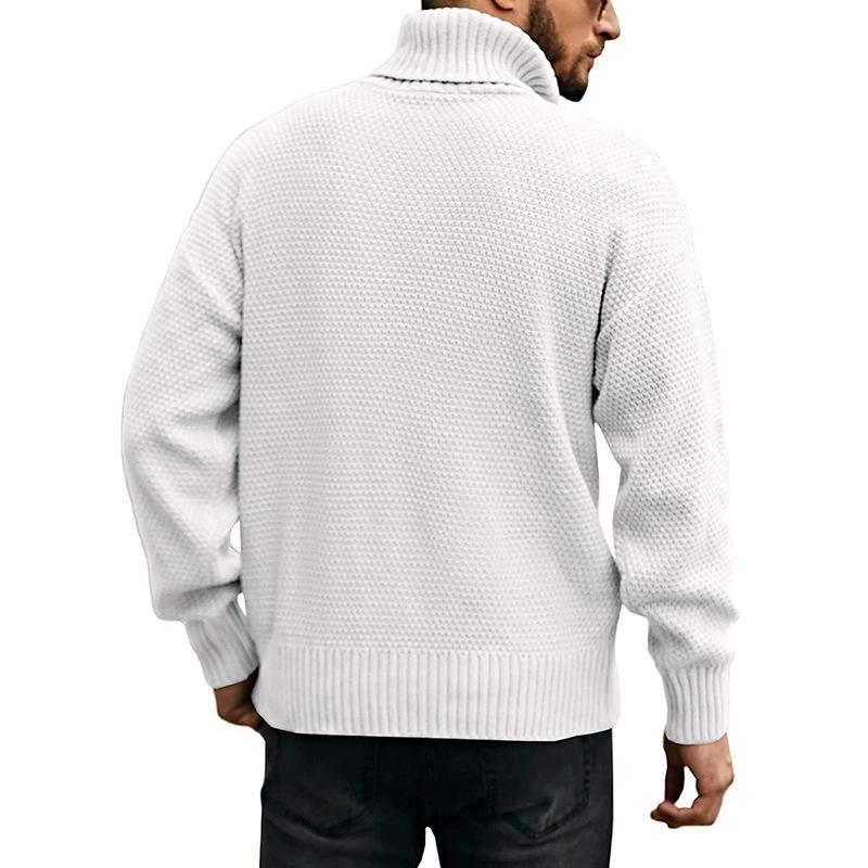 Mens Turtleneck Long Sleeve Pullover Knit Sweater 04672420M