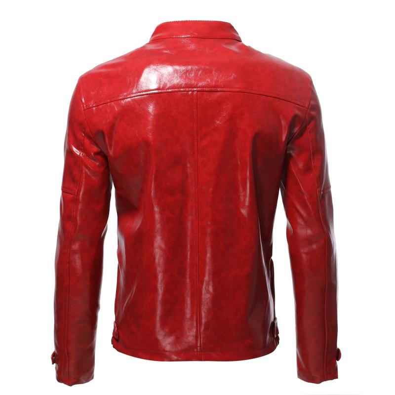 Mens Fashion Stand Collar Punk Biker Leather Jacket 02390117M