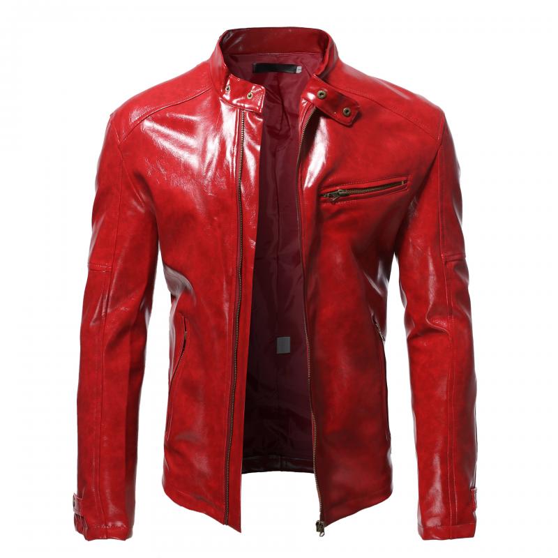Mens Fashion Stand Collar Punk Biker Leather Jacket 02390117M